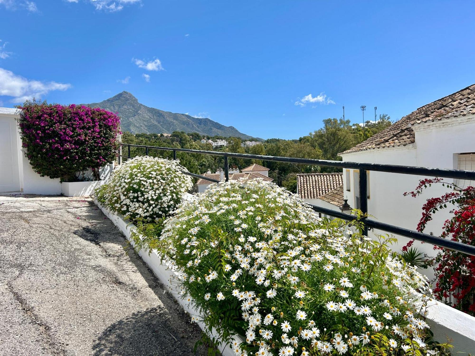 Casa de vacances House In Surrounded By Golf Courses Marbella